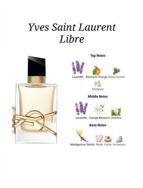 notes ysl libre.